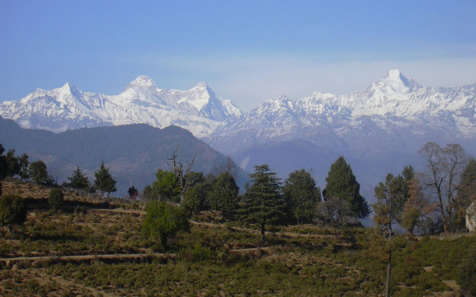 chaukori