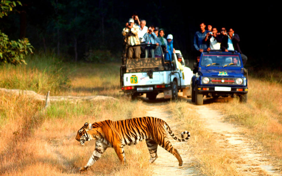 jim corbett