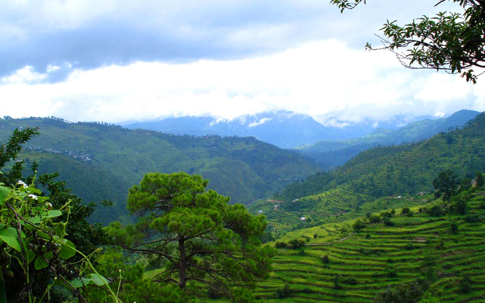 ranikhet