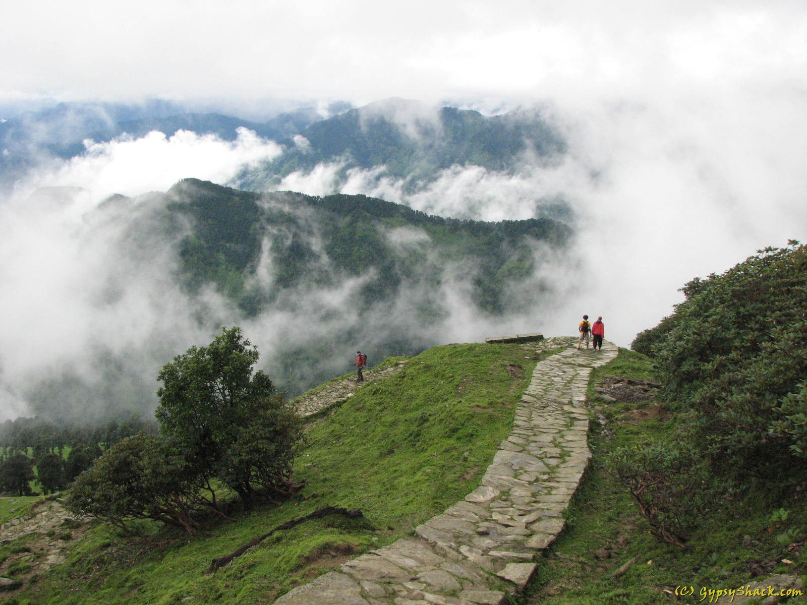 tungnath