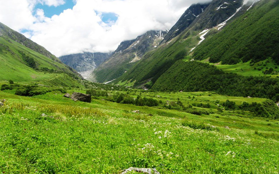 chamoli