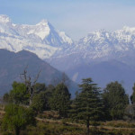 chaukori