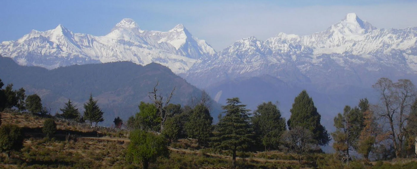 chaukori
