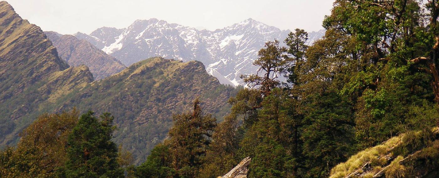chopta