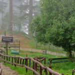 dhanaulti1
