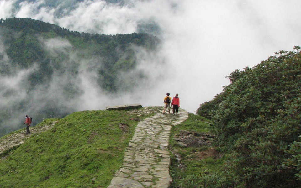tungnath