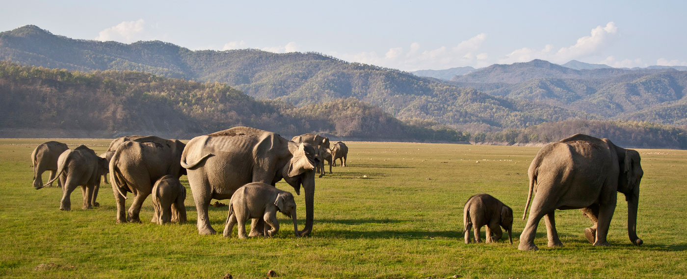 jim-corbett-national
