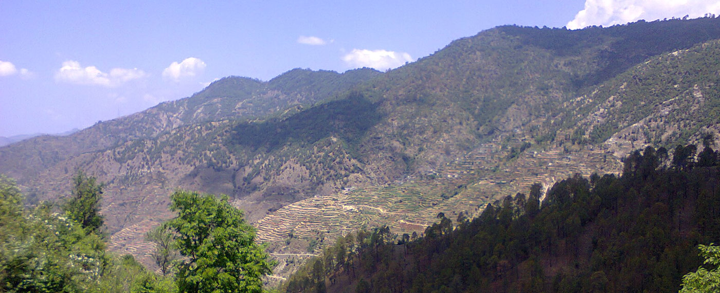 khirsu