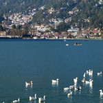 nanital