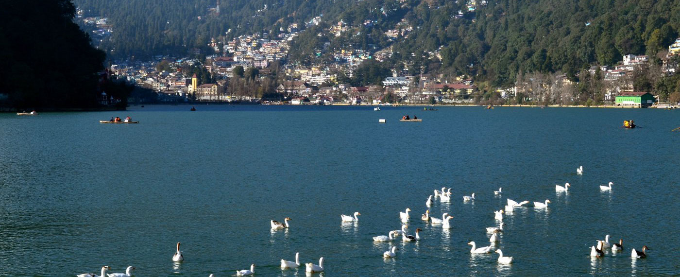 nanital