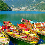 nanital1