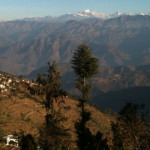 pauri1