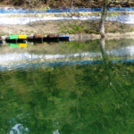sattallake1