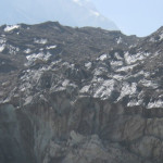 vasukital