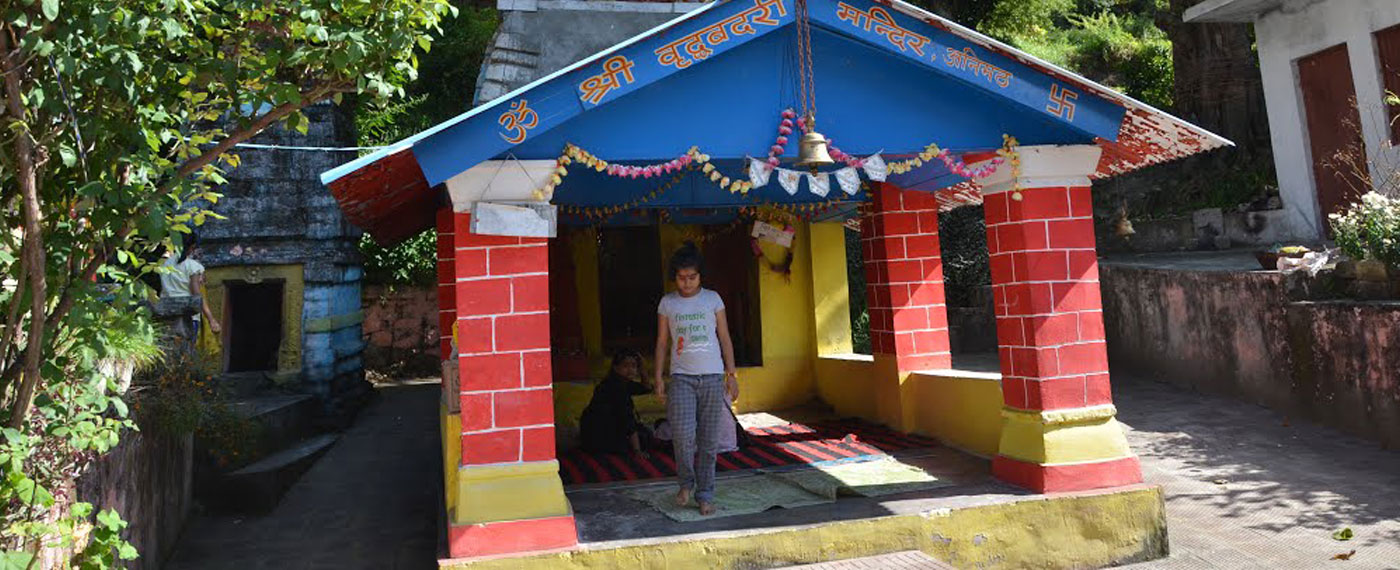 vridhbadari