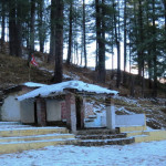 vridhbadari1