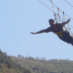 flyingfox