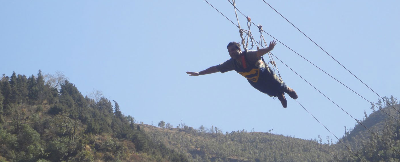 flyingfox